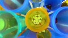 एंटीबायोटिक्स