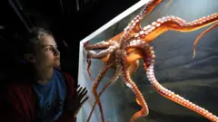 หมึกยักษ์