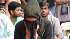 काश्मीर