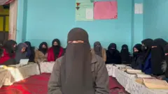 نجونې