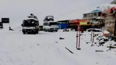 برفباری