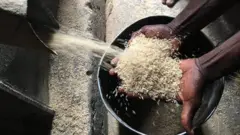 Osikapa