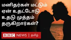 மனிதர்கள் ஏன் முத்தம் கொடுக்கிறார்கள்? இதன் உளவியல் காரணங்கள் என்ன?