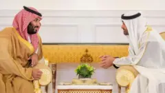 محمد بن سلمان، ومحمد بن زايد