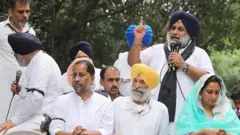 ਅਕਾਲੀ ਦਲ