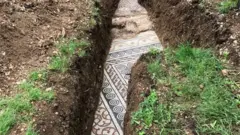 The mosaic floor found under a vineyard in northern Italy