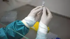 Pesin dey hold test kit