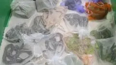 زواحف وثعابين