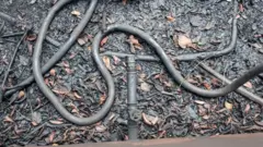 A disconnected pipe lies on the ground at the outlet of an illegal oil refinery storage tank