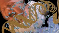 صورة جمعة لرضيع وشريط حمض نووي