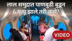 लाल समुद्र