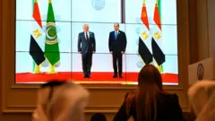 القمة العربية الطارئة في القاهرة تعتمد الخطة المصرية بشأن غزة 