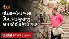 અબોલ પક્ષીઓ માટે સેવા કાર્ય