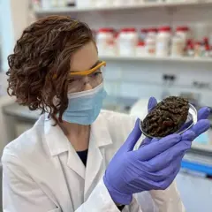 Alexandra Morton-Hayward com seu cérebro antigo favorito, Rusty