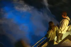 The neon color is caused by bioluminescent plankton in the wake of the ship