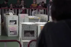 เสียงสะท้อนคนชลบุรีที่เรียกร้อง กกต. นับคะแนนใหม่