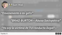 Imagen que muestra tres de los mensajes que Wall publicó en X sobre Brad.