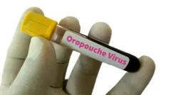 Mão segurando tubo de sangue com etiqueta 'oropouche virus'
