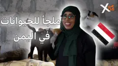 صورة من تقرير لبي بي سي اكسترا