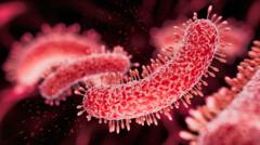 Las poderosas bacterias halladas en cuevas profundas que desafían la medicina actual