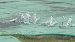 মুজিবনগর কমপ্লেক্সে ক্ষতিগ্রস্ত ভাস্কর্য