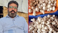 سوہن سنگھ نے 2018 میں ایک شیڈ سے کھمبیاں اُگانے کا سلسلہ شروع کیا تھا