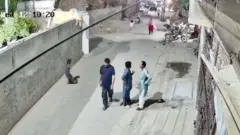 فرار و حمله شیر به زن و فرزندانش در پاکستان