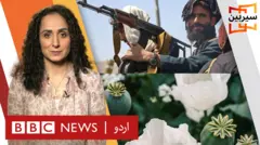 افغانستان میں منشیات