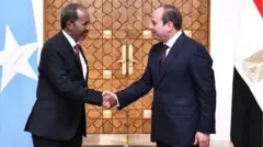 ሓሰን ሸኽን ኣልሲሲን