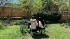 Araceli com as filhas, de costas, sentadas no jardim do abrigo no Estado de Nova York