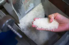 बासमती चावल