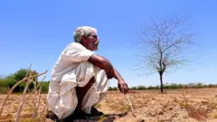 બનાસકાંઠા જિલ્લાના વાવ તાલુકાના ચોથરનેસડા ગામના ખેડૂત ભૂરાભાઈ