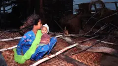 سمندری طوفان 