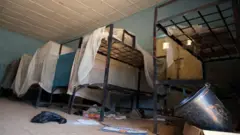 Ntọrị ụmụakwụkwọ na Naịjirịa na-arịzi elu kamgbe