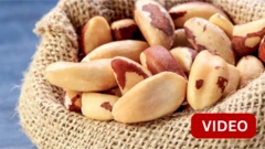 காணொளி: பிரேசில் நட்ஸ் கொடுக்கும் மூன்று முக்கிய சத்துகள்