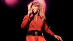 Tina Turner di panggung
