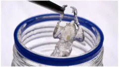Une souris transparente