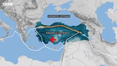 Kuzey Anadolu Fay Hattı