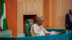 Onyeisioche ụlọomeiwu nnọchiteanya Naịjirịa