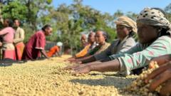 Qonnaan bultonniifi daldaltoonni Itoophiyaa buna qaban dafanii gabaaf akka dhiyeessan gaafataman, maaliif?