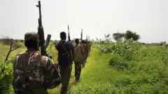 Wasu ƴanbindiga riƙe da makamai sun juya baya