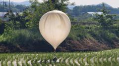 Balão branco com um saco plástico preto preso a ele sobre um campo de arroz em Cheorwon, na Coreia do Sul, em 29 de maio de 2024