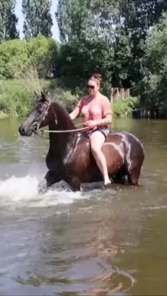 Кінь з вершницею в річці
