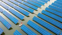 paineis de energia solar