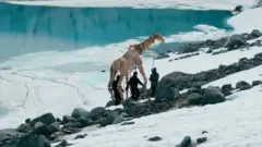 Lutke životinje na putu oko sveta