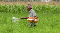 યુરિયા, નેનો યુરિયા, સુપર નેનો યુરિયા, નેનો યુરિયા પ્લસ કેટલા ઉપયોગી, ઇફ્કો દિલીપ સંઘાણી, મનસુખ માંડવિયા, બીબીસી ગુજરાતી, બીબીસી ન્યૂઝ ગુજરાતી