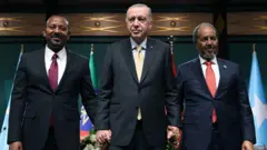 የኢትዮጵያው ጠቅላይ ሚኒስትር ዐቢይ አሕመድ እና የሶማሊያው ፕሬዚዳንት ሐሰን ሼክ ሞሐሙድ በቱርኩ ፕሬዚዳንት አሸማጋይነት ታኅሣሥ ላይ በአንካራ በተገናኙበት ወቅት