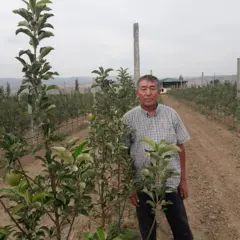 Фермер Манас Саматов