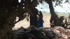 Some of di bodies recovered from di water