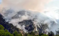 Bolu